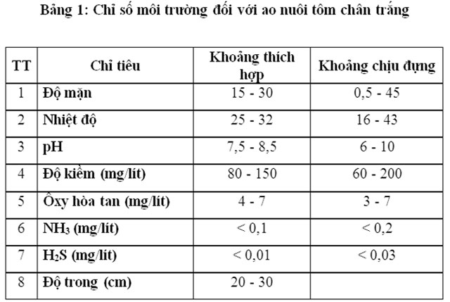 Quy trình nuôi tôm thẻ chân trắng trong ao cát – Tạp chí Thủy sản Việt Nam