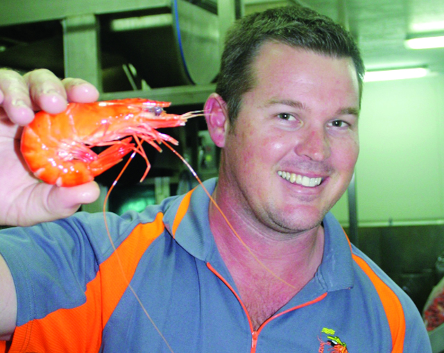 chế tạo thức ăn nuôi tôm sú không bột cá ở Australia