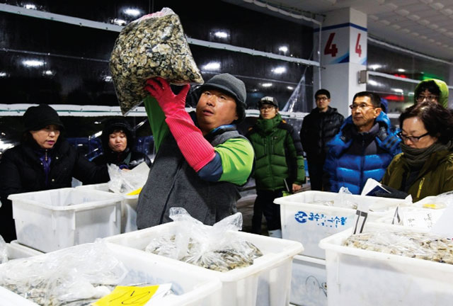 Hợp tác xã nuôi hàu ở Tongyeong