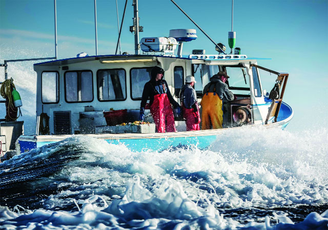 Ngư dân ở Maine sử dụng tàu có động cơ lớn để khai thác tôm hùm biển