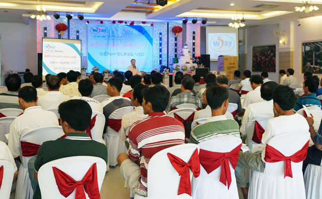 5 way tập huấn hạn chế sưng vòi trên ốc hương