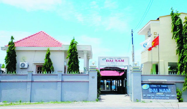 toàn cảnh công ty đại nam