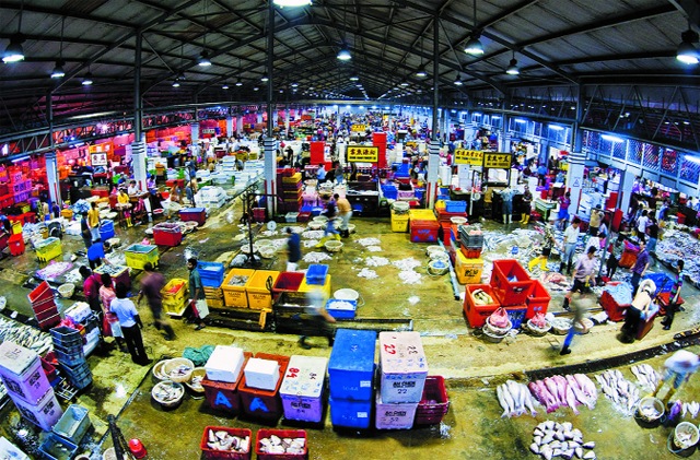 thị trường xuất khẩu thủy sản singapore