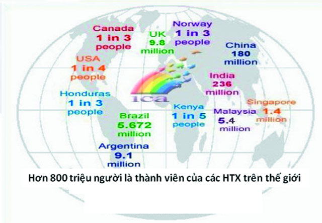 số lượng thành viên của các htx trên thế giới