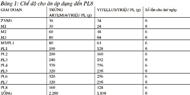 vitellus phương pháp mới sử dụng trứng artemia trong ương nuôi ấu trùng tôm cá