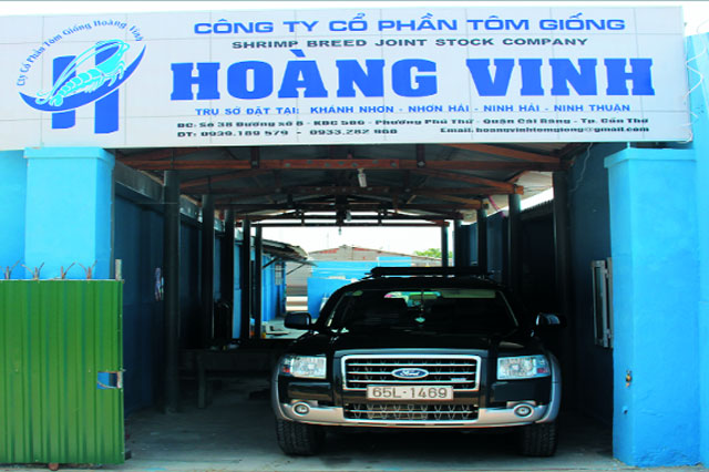 trại sản xuất tôm công ty tôm giống hoàng vinh